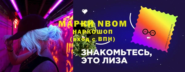сатива Кулебаки