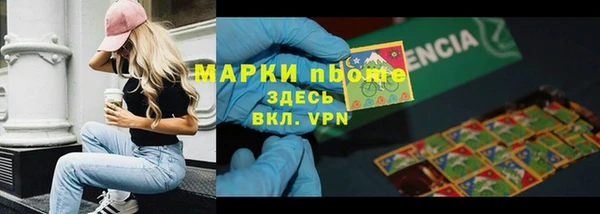 сатива Кулебаки