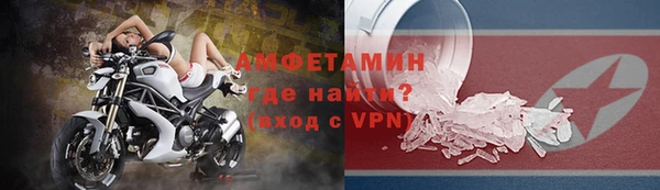 сатива Кулебаки