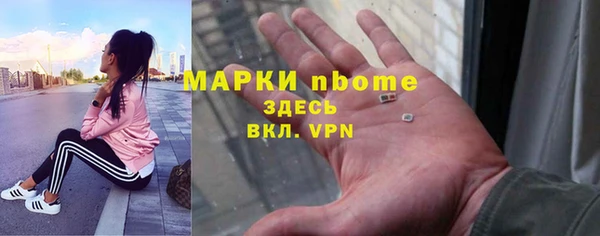 сатива Кулебаки