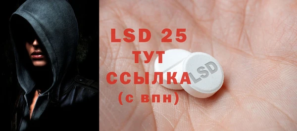 сатива Кулебаки