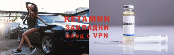 сатива Кулебаки