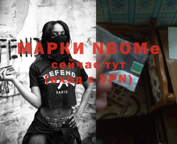 сатива Кулебаки