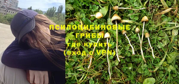 сатива Кулебаки