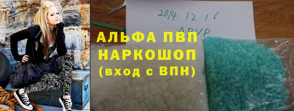 сатива Кулебаки