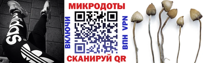Галлюциногенные грибы прущие грибы Опочка